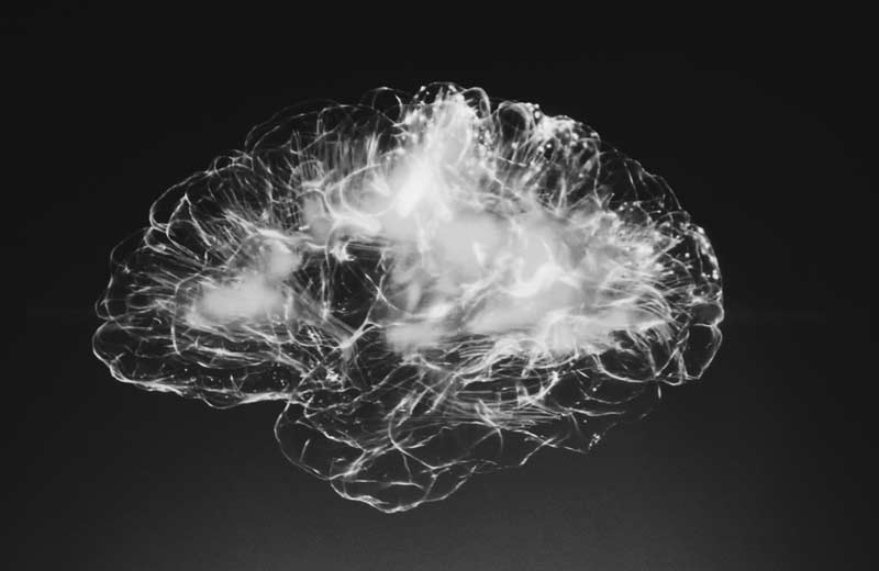 How sitting affects the brain and the mind
