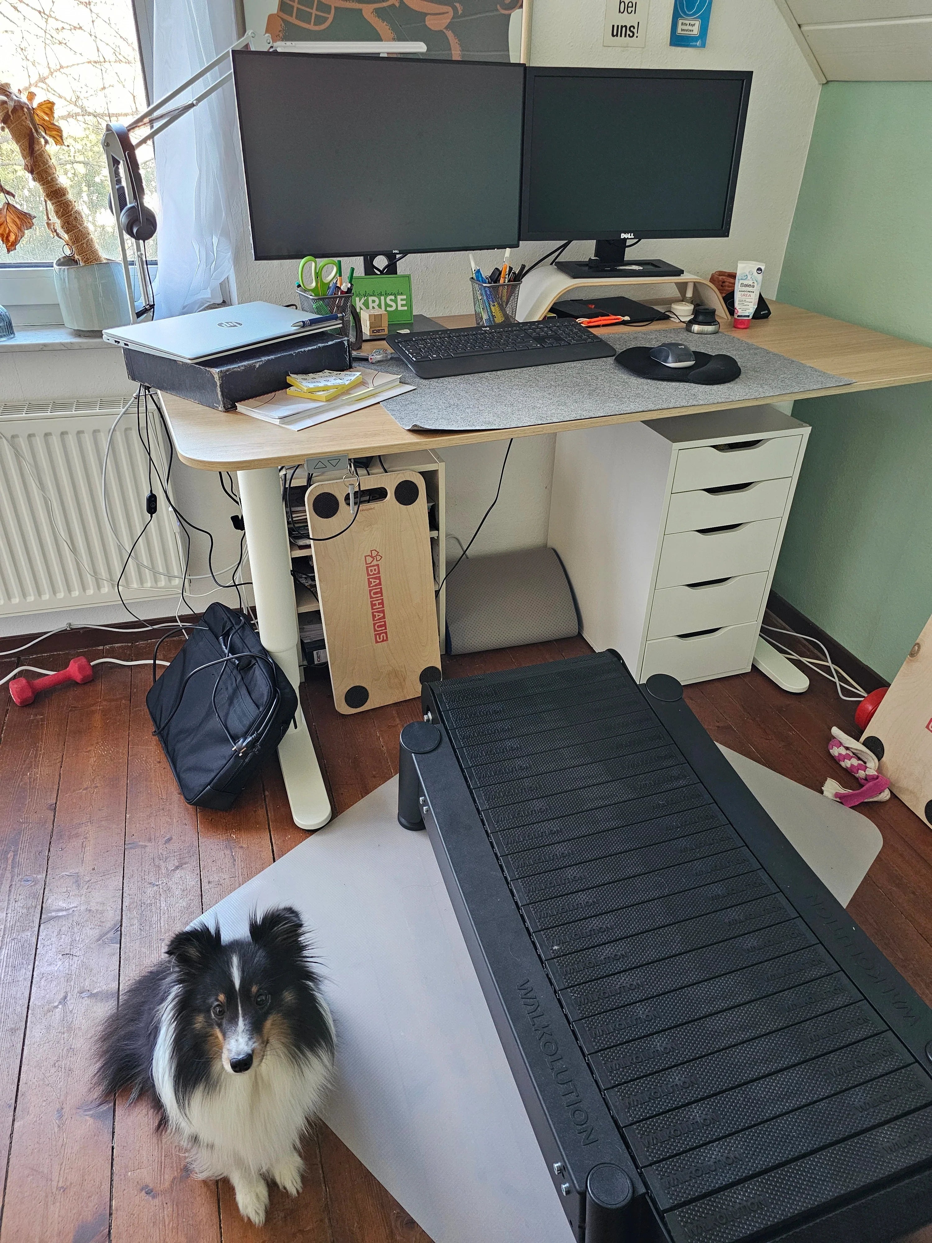 A home office setup with dual monitors, keyboard, and printer on a wooden desk. Below the desk are cables, a black bag, and a footrest. In the foreground, a Shetland Sheepdog sits beside a dog treadmill.