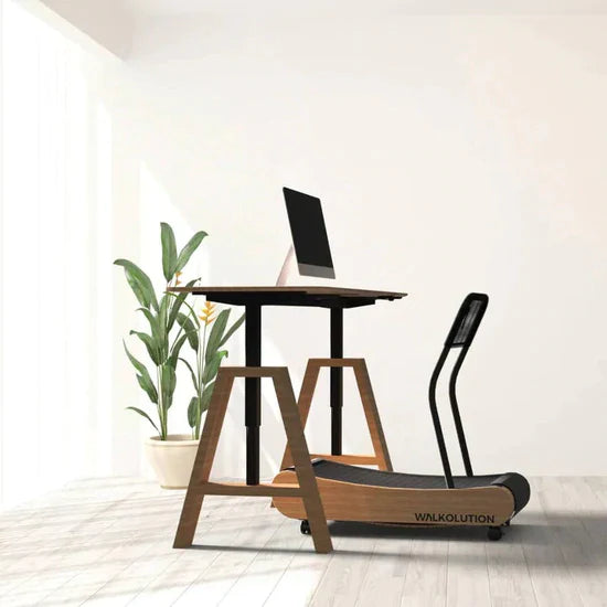 A modern home office with a standing desk, computer, and a wooden treadmill labeled WALKOLUTION. A green potted plant stands beside the desk in a bright room with sunlight streaming in.