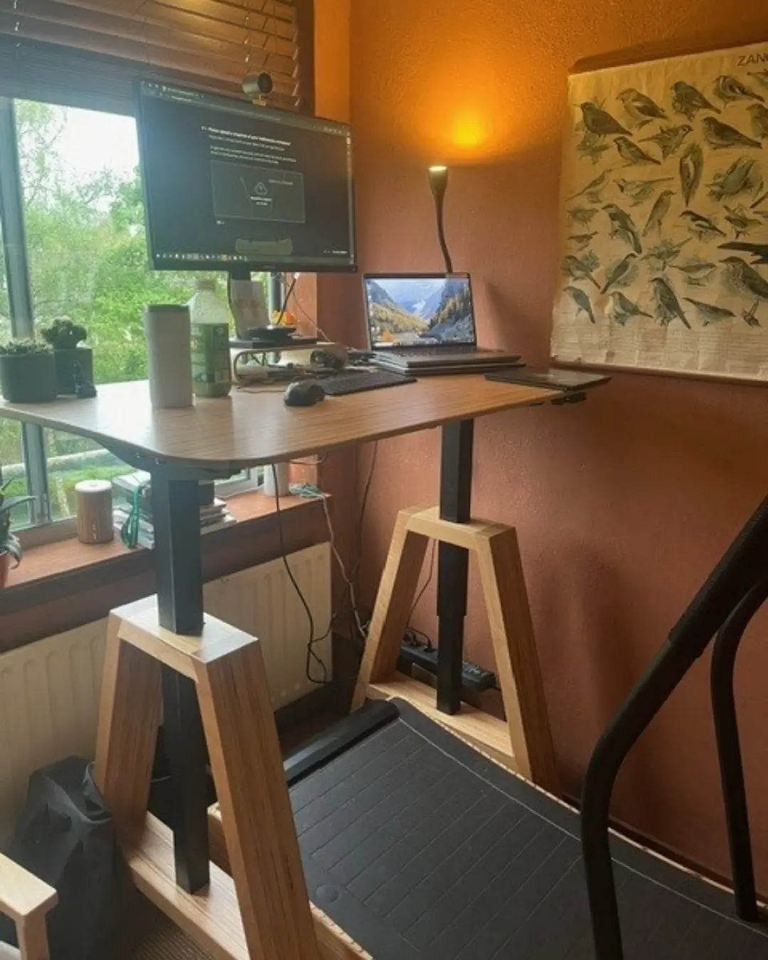 A modern workspace with a standing desk over a treadmill, a computer monitor, a laptop, a lamp, houseplants, and a bird poster on an orange wall by a window with greenery outside.