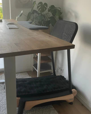 A modern home office setup with a wooden desk, mesh chair, computer keyboard, and a black walking treadmill under the desk. A large leafy plant and shelving are in the background.