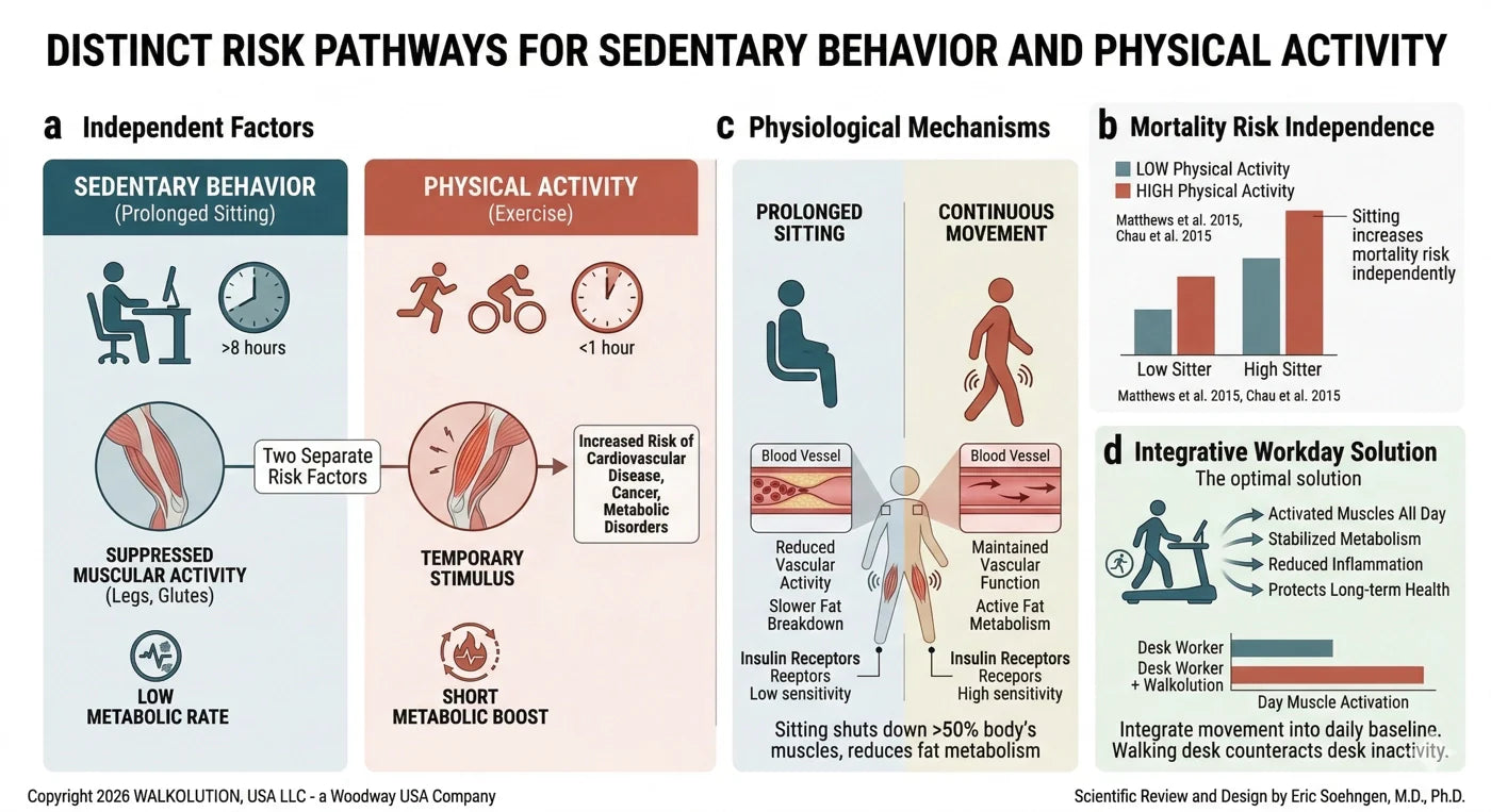 Poster on distinct risk pathways for sedentary behavior and physical activity