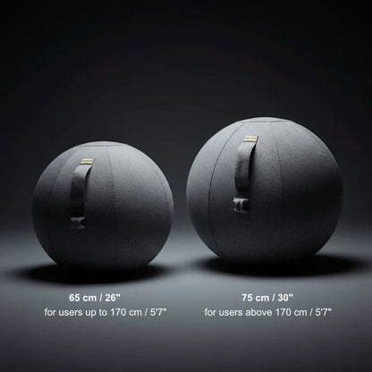 Two gray Walkolution Active Sitting Balls with handles are displayed side by side. The 65 cm ball suits users up to 170 cm tall, while the 75 cm version is ideal for those above 170 cm, both offering ergonomic seating.