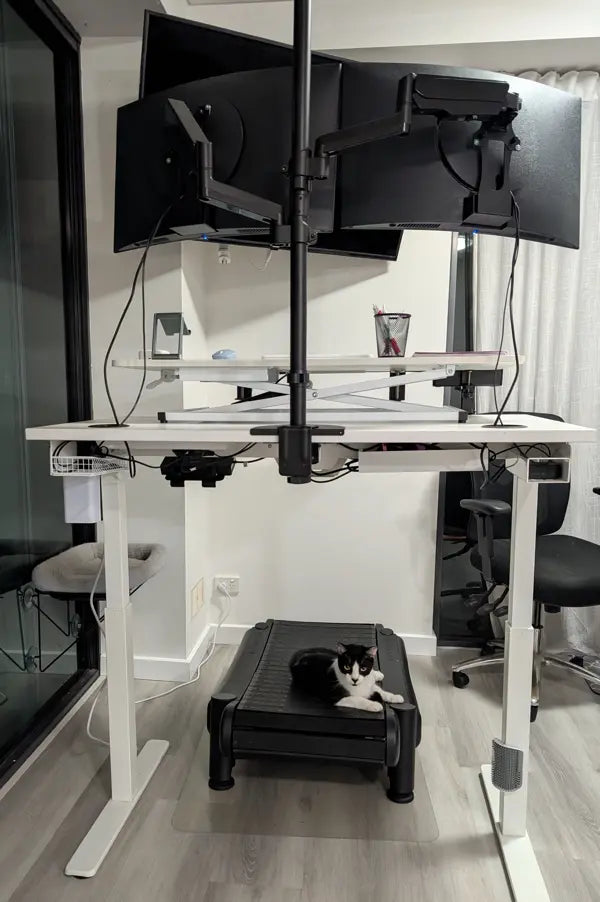 A modern standing desk setup with dual monitors mounted above, cables hanging down, and a treadmill underneath. A black and white cat is lying on the treadmill, and an office chair is to the right.