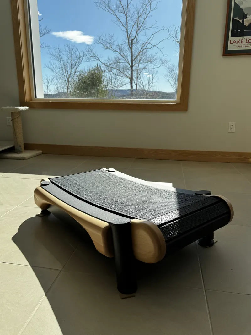 A modern, low-profile cat scratcher lounge with wooden sides and a black textured surface sits on a sunlit tile floor in front of a large window, with trees and blue sky visible outside.